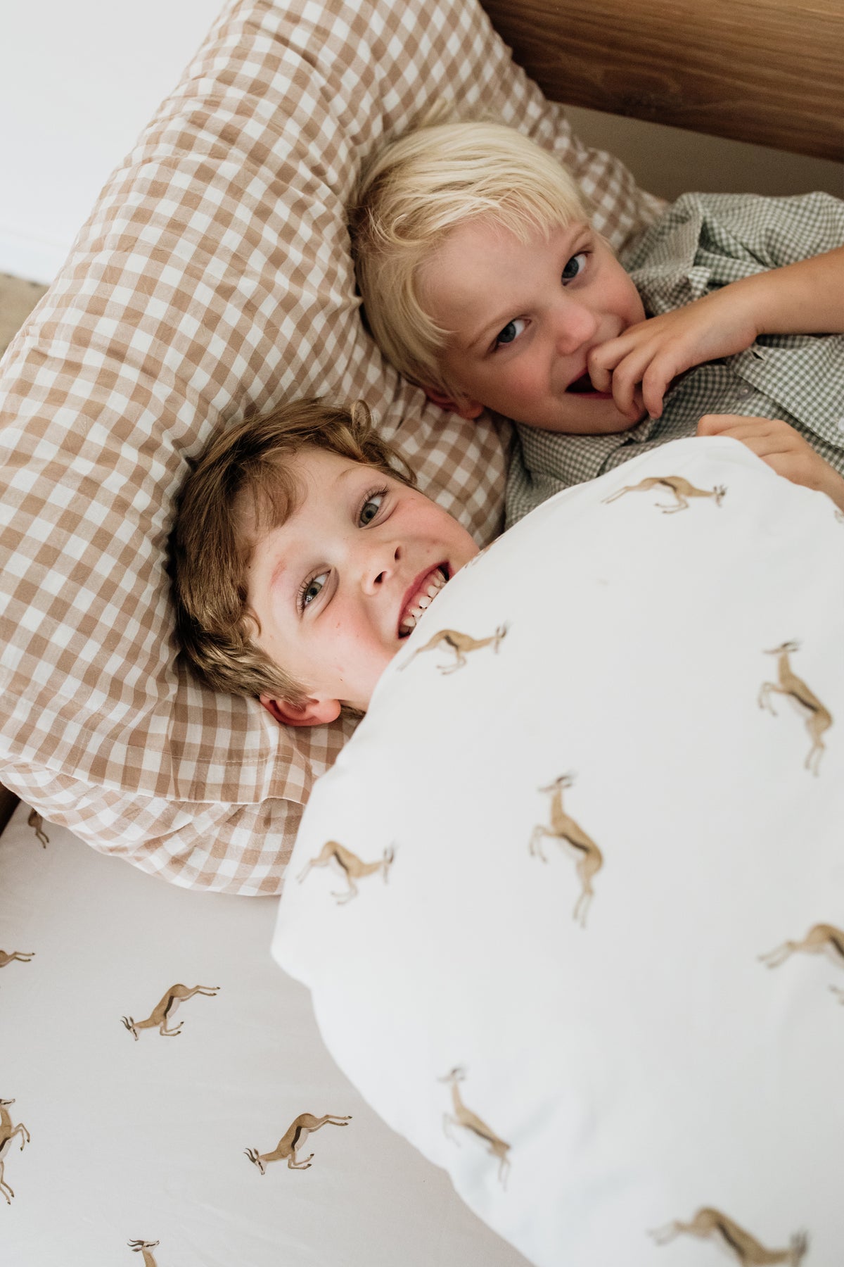 Watercolour Springbok 100% Cotton Fitted Sheet