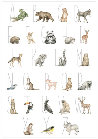 Animal Illustration Alphabet Print
