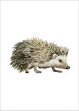 Hedgehog Watercolour Print