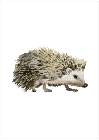 Hedgehog Watercolour Print