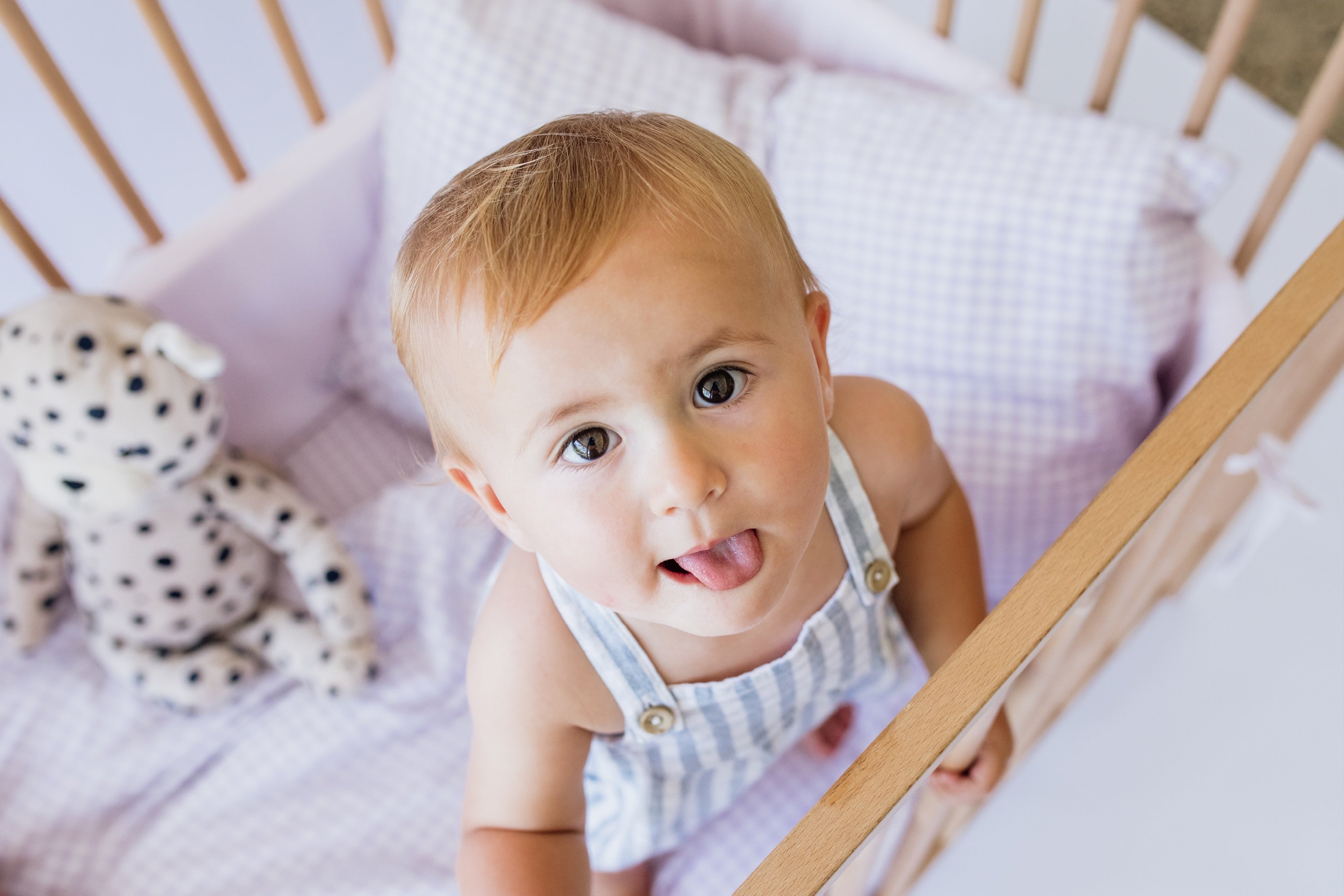 Lilac Gingham Washed Cotton Cot Duvet