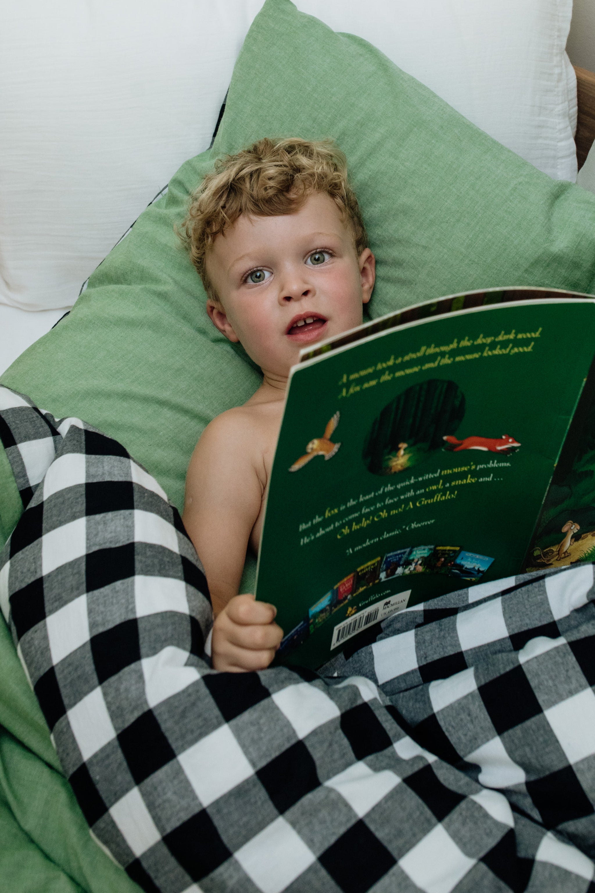 Washed Fern Checked Duvet