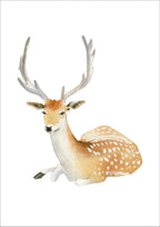 Deer Print
