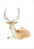 Deer Print