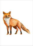 Fox Print