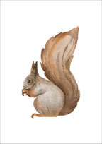 Squirrel Print