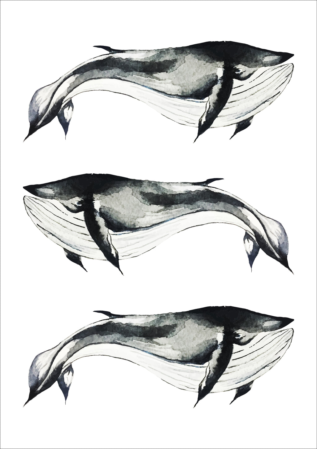 Whales Print