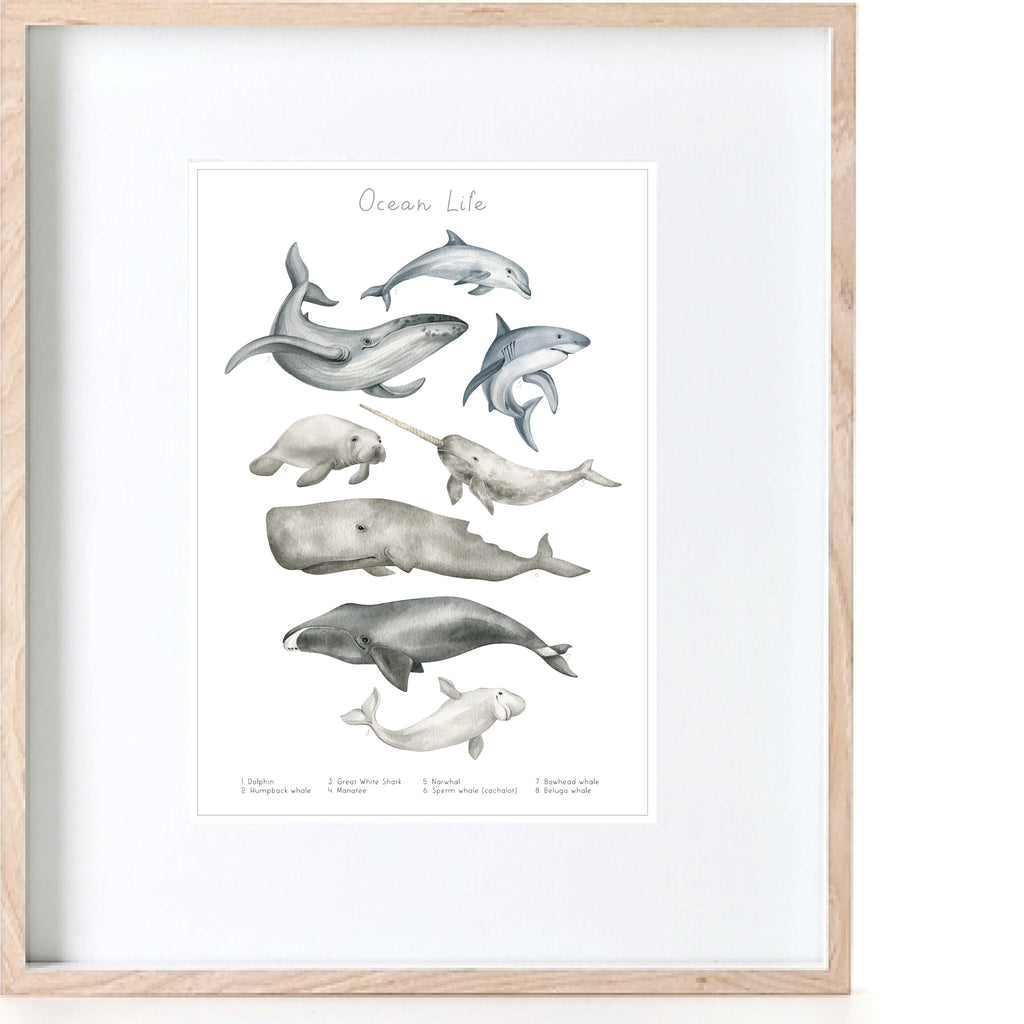 Ocean Life Print