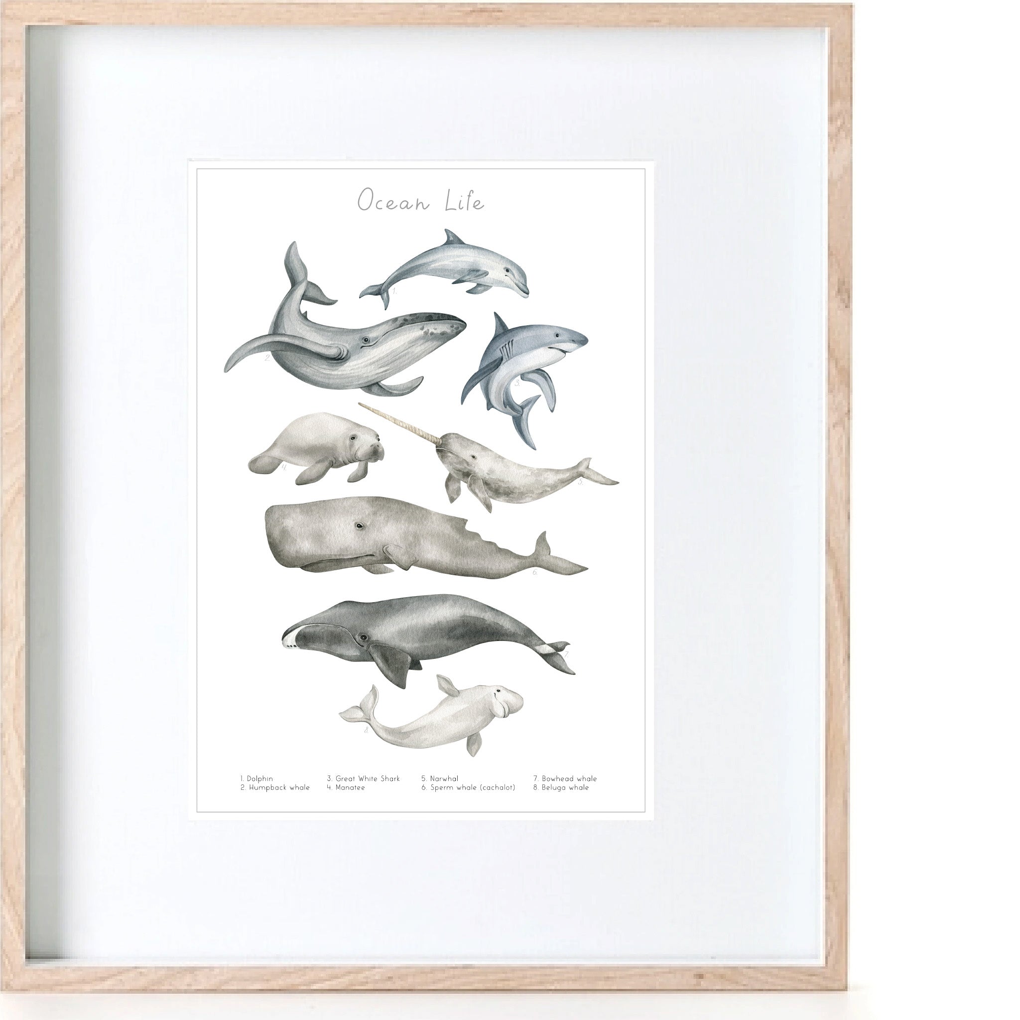 Ocean Life Print