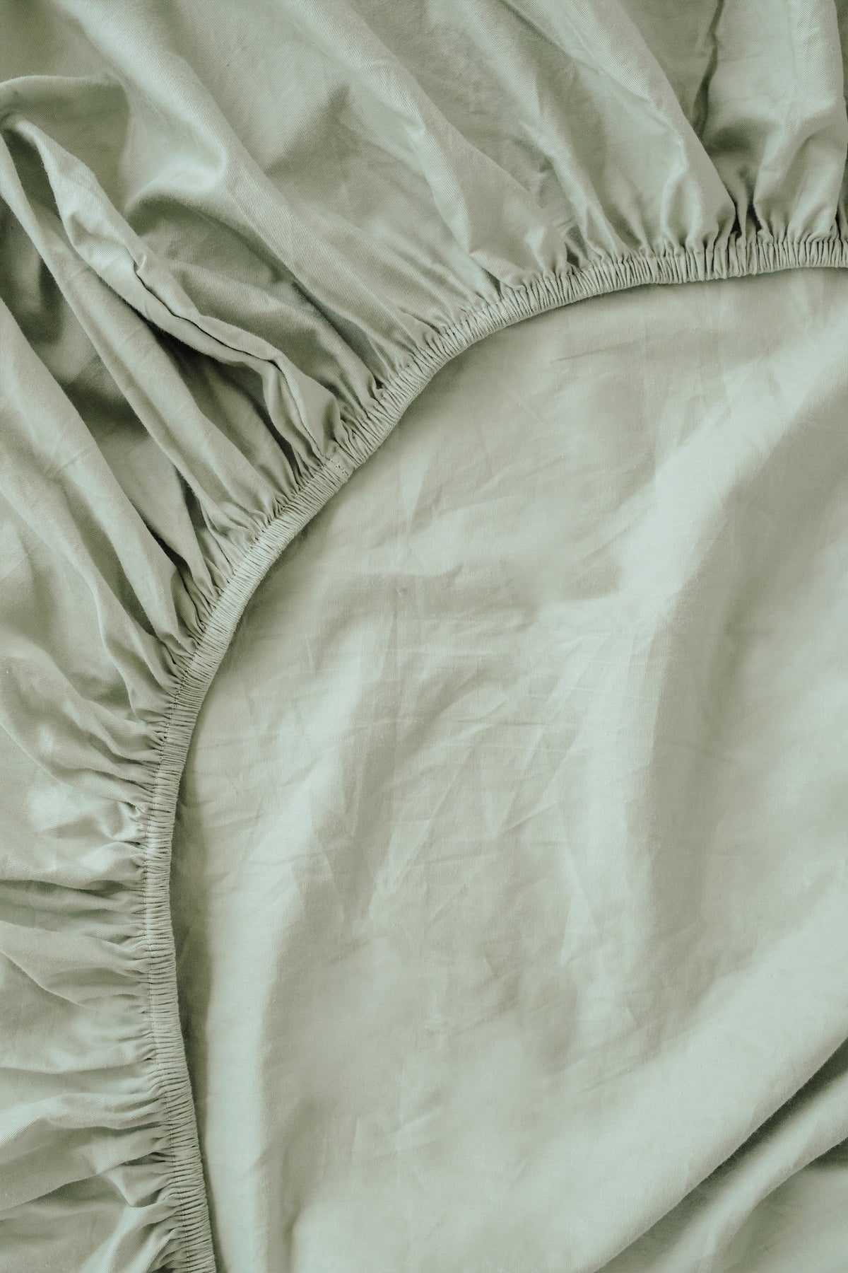 Hayden 100% Cotton Fitted Sheet