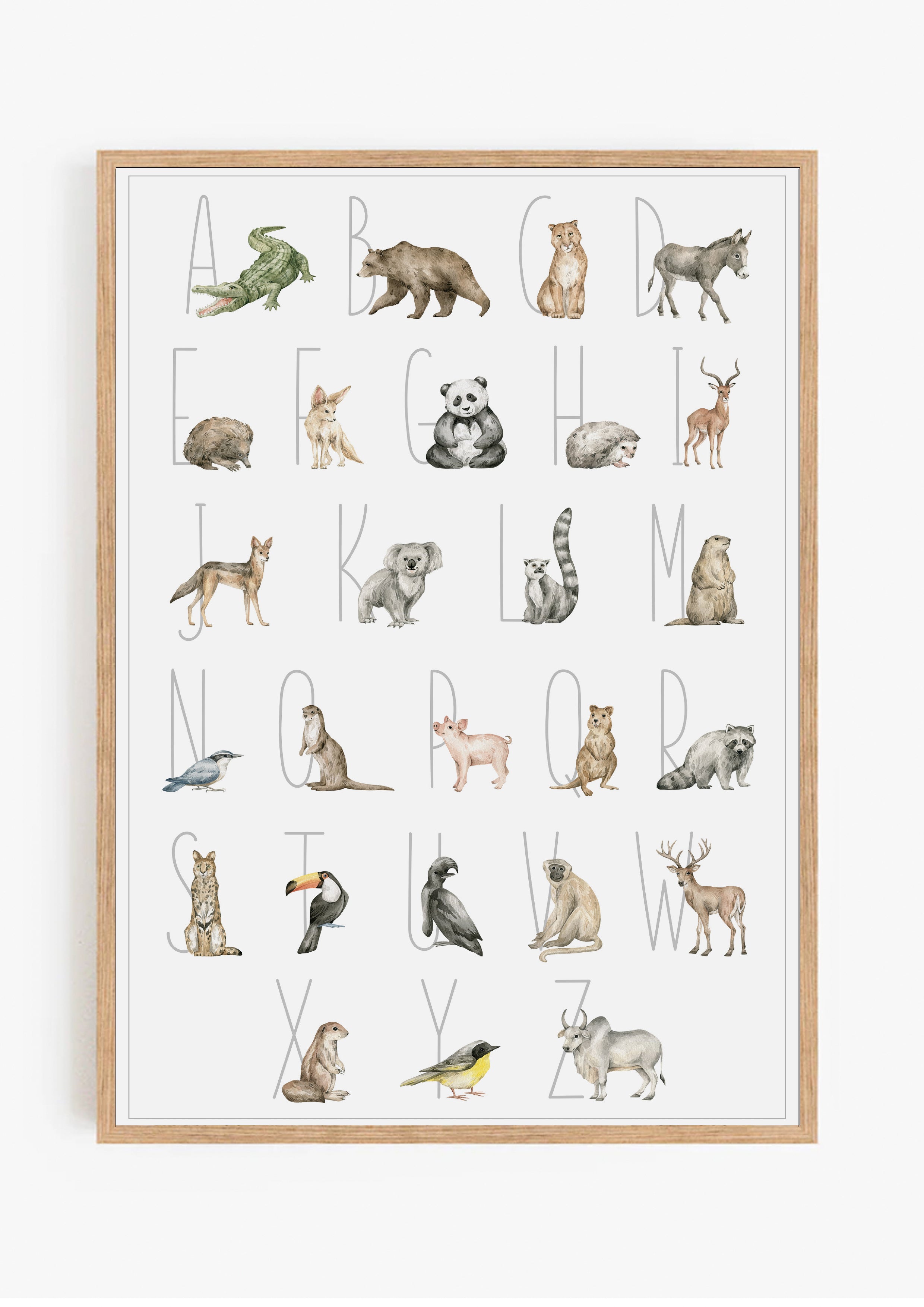 Animal Illustration Alphabet Print