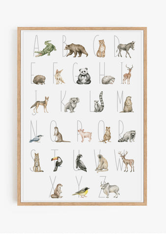 Animal Illustration Alphabet Print