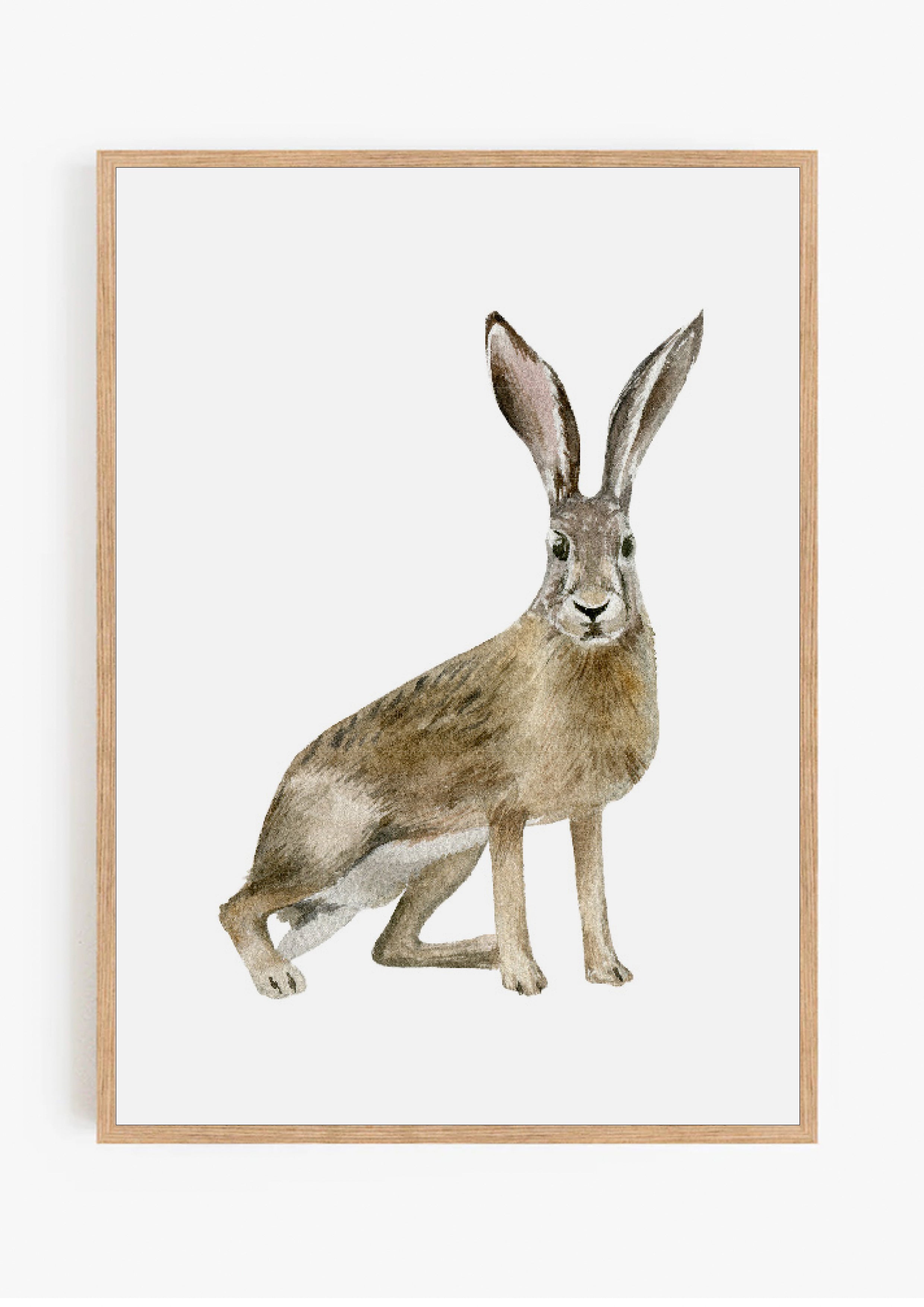 Bunny Print