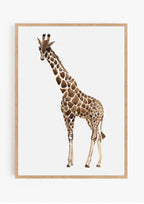 Giraffe Watercolour Poster