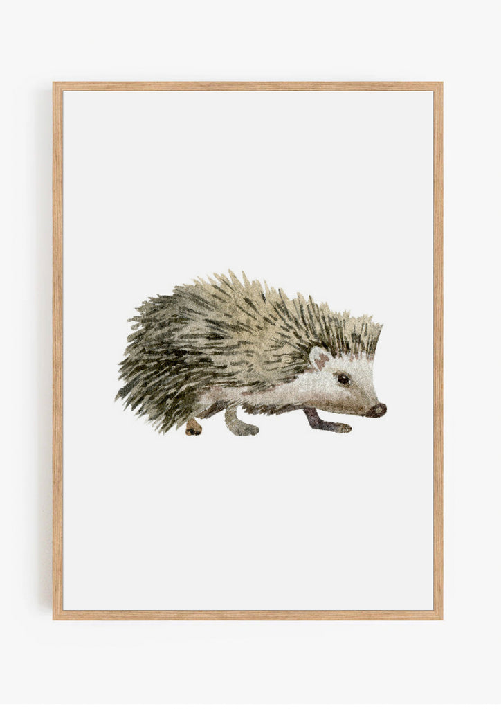 Hedgehog Watercolour Print