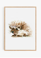 Hedgehog Print