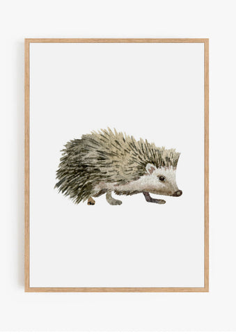 Hedgehog Watercolour Print