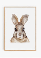 Rabbit Print
