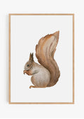 Squirrel Print