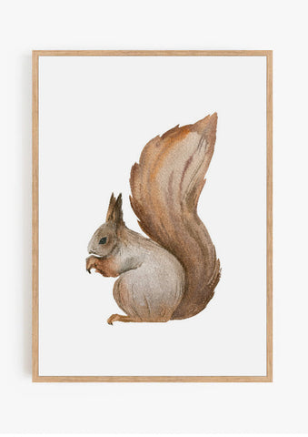 Squirrel Print