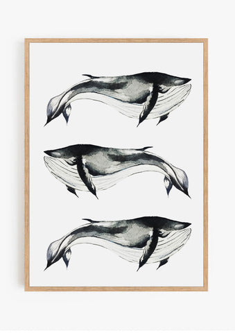 Whales Print