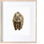 Bear Watercolour Print