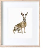Bunny Print
