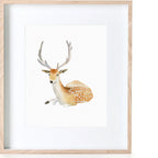 Deer Print