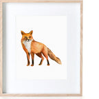 Fox Print