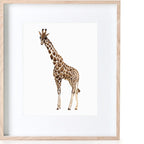 Giraffe Watercolour Poster