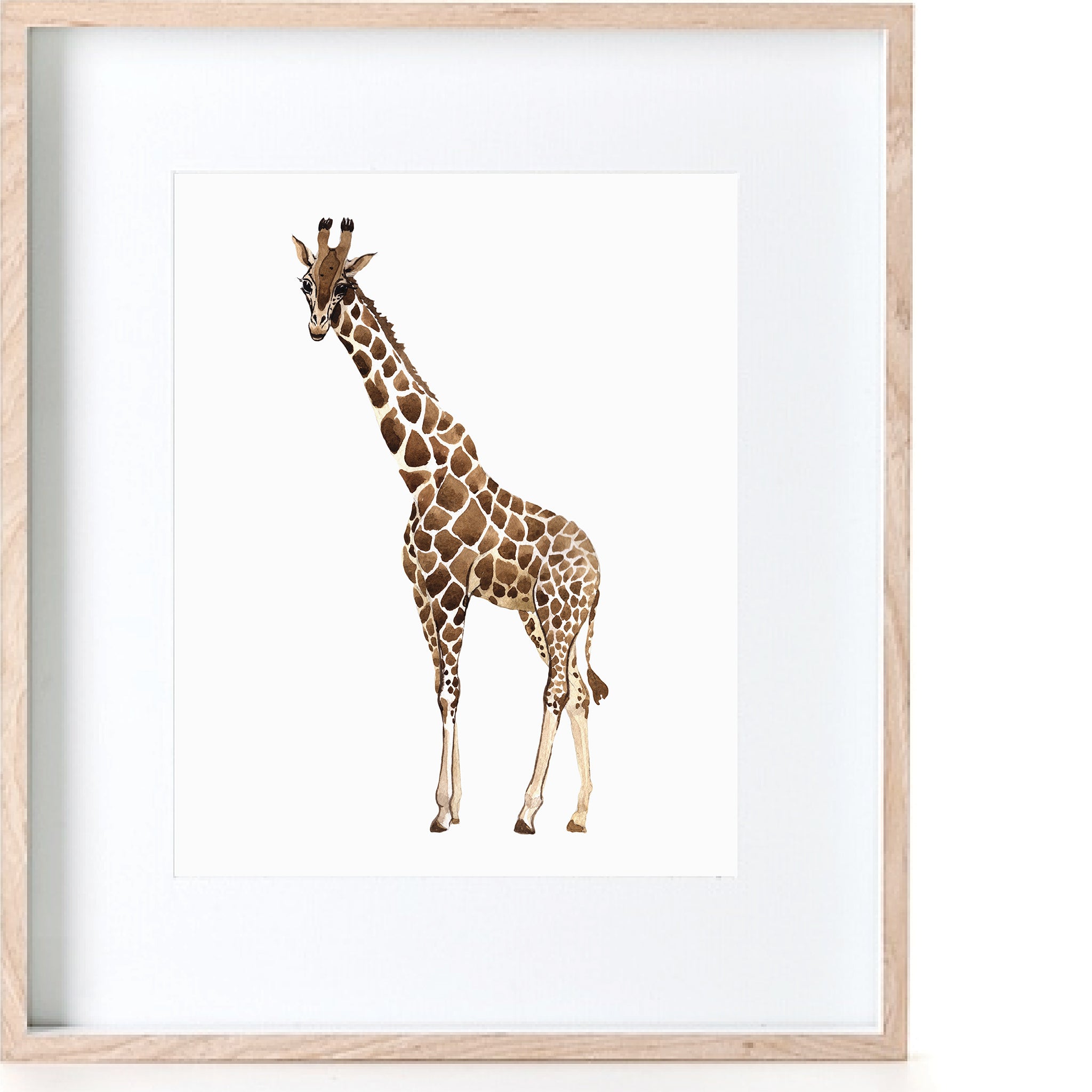 Giraffe Watercolour Poster